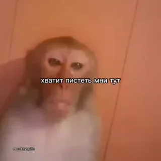 🌟