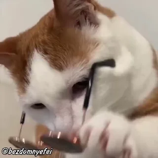 😎