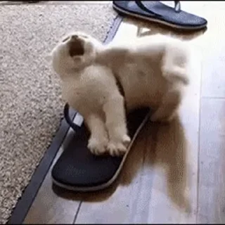 😁