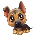 🐶