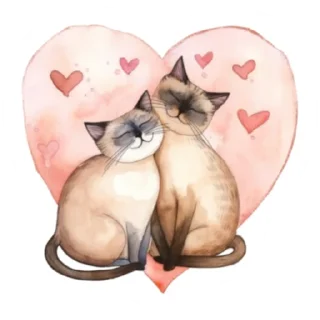 😻