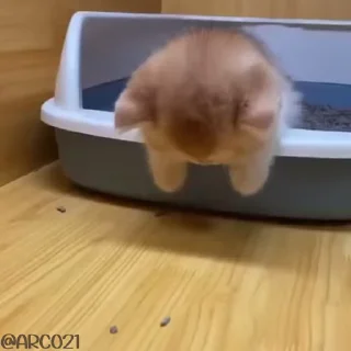 😔
