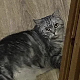 😡