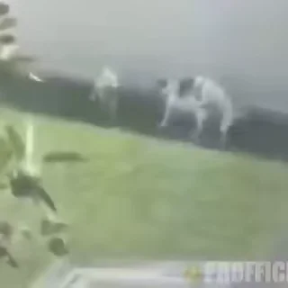 😂