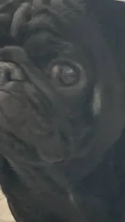 🤩