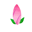 🌸