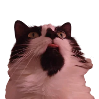 😛