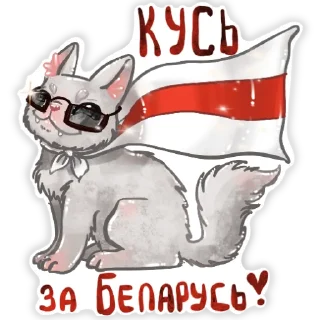 😸