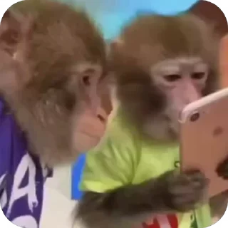 😒