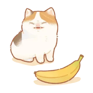 🍌