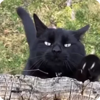 ☺️
