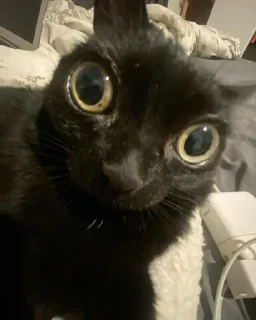 😳