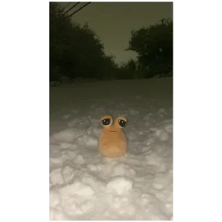 Pou