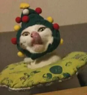 🥺