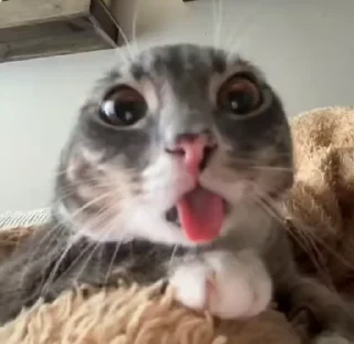 😛