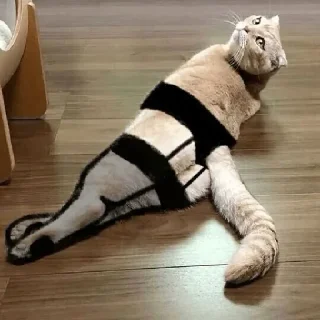 🤤