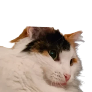 ☺️
