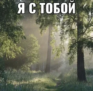 🧂