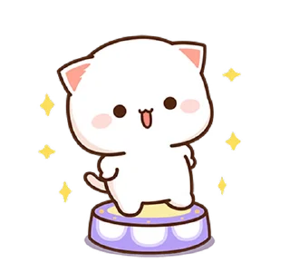 ✨