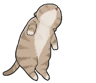 🐱