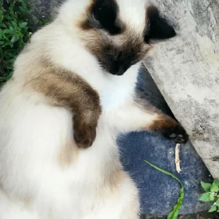 😌
