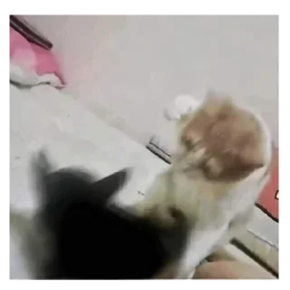 👊