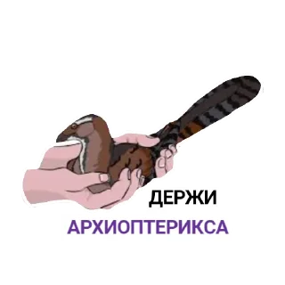 🤲