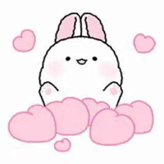 🐇