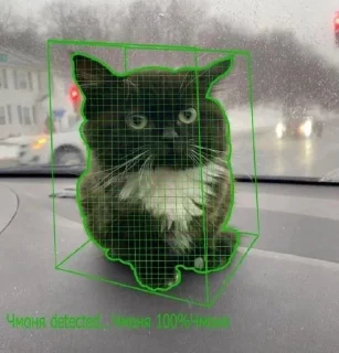 😺