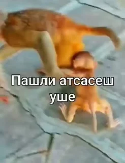 😏