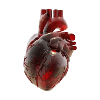 ♥️