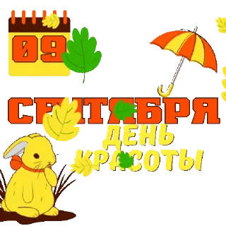 🍁