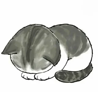 😿
