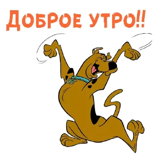 🤪