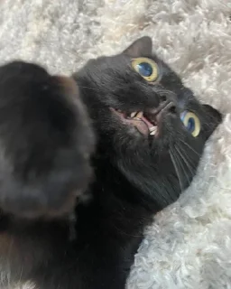 😨