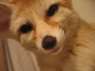 😄