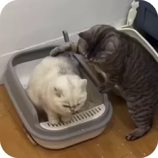🥰