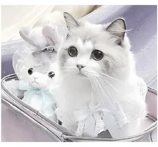 🥺