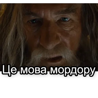 💩