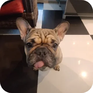 👍