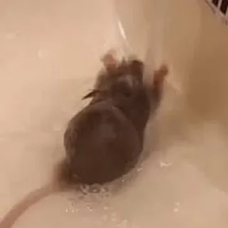 🚿