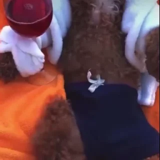 😎