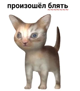🐈