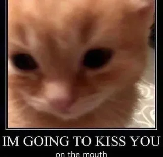 😘