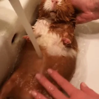 🛁