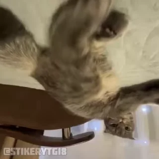💘