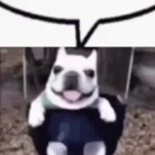 💬