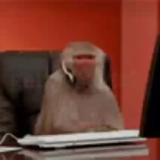 🐵