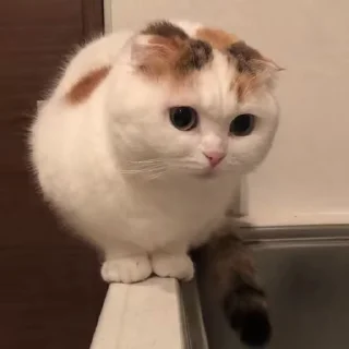 🤔
