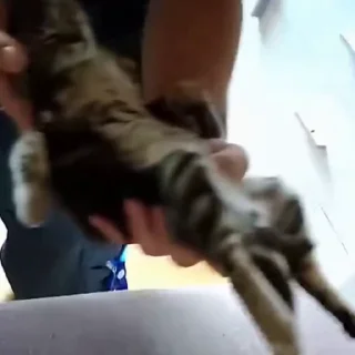 😴